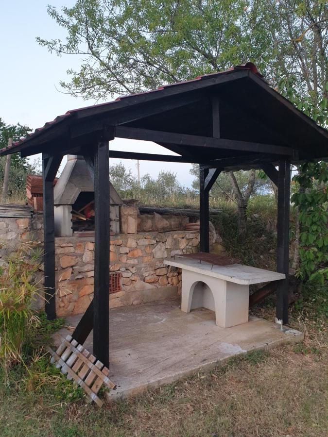 Arancia Villa *
