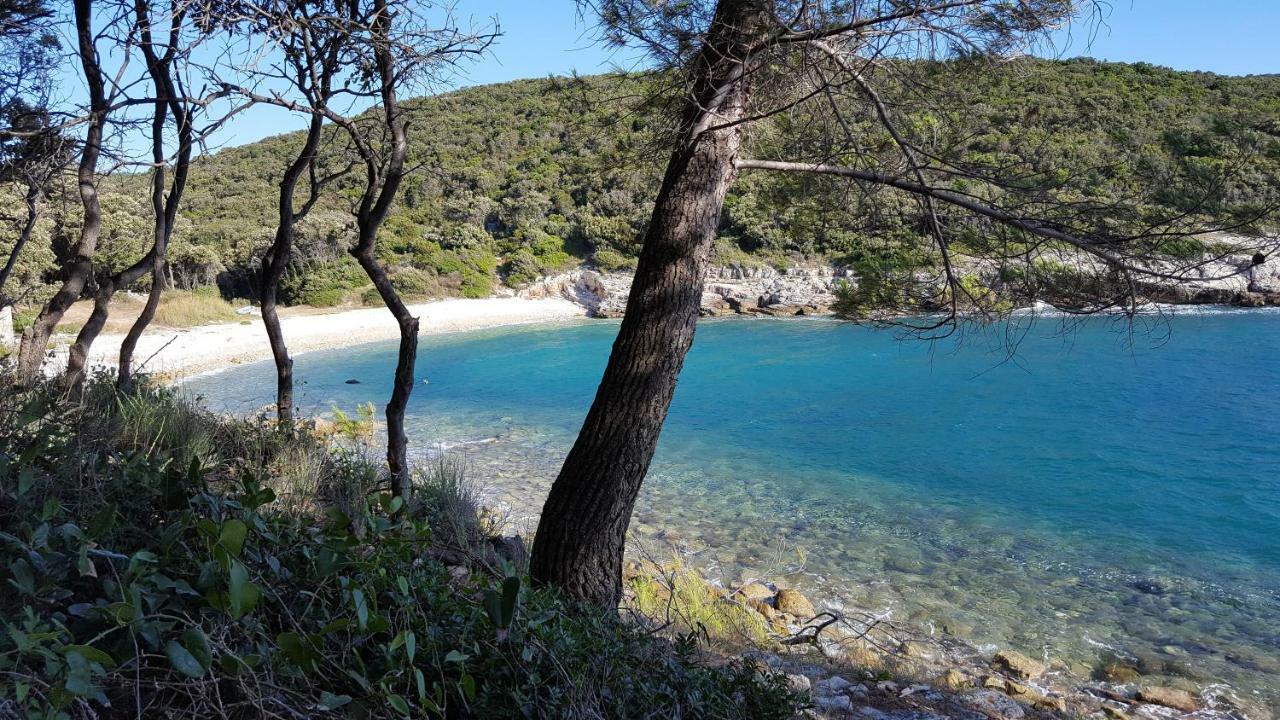 Arancia Villa